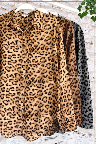 the Leopard classic