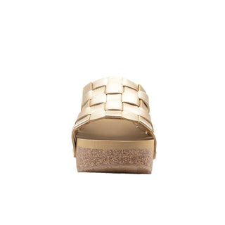 Enoki- Gold