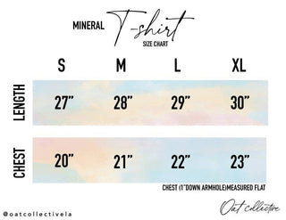 FREE BIRD AMERICA Mineral Washed Graphic Top