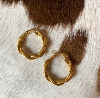 Boa Hoops